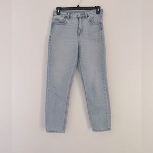 American Eagle Strigid Mom Jeans